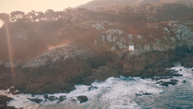 pixelecer-The-Skarnivals